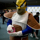 Illustration for article titled The best cosplay of Comic-Con 2011